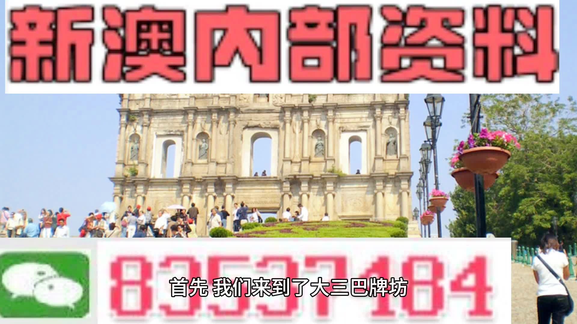 新澳门免费精准大全，全面释义、解释与落实—警惕虚假宣传