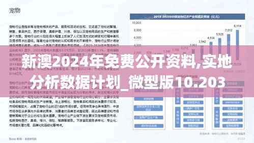 2025新澳正版今晚资料，警惕虚假宣传—全面释义、专家解读与落实策略
