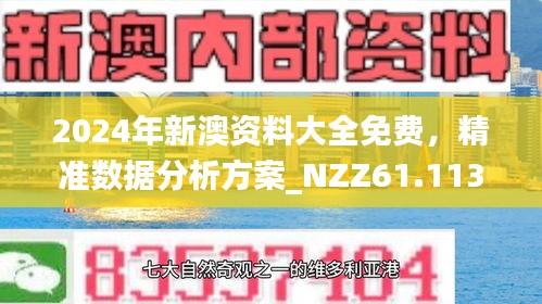 2025新澳精准正版免费资料，警惕虚假宣传，专家全面解析与落实策略