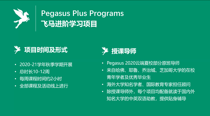 2025澳门与香港特马网站www构建解答，专家全面认真解释、落实与警惕虚假宣传